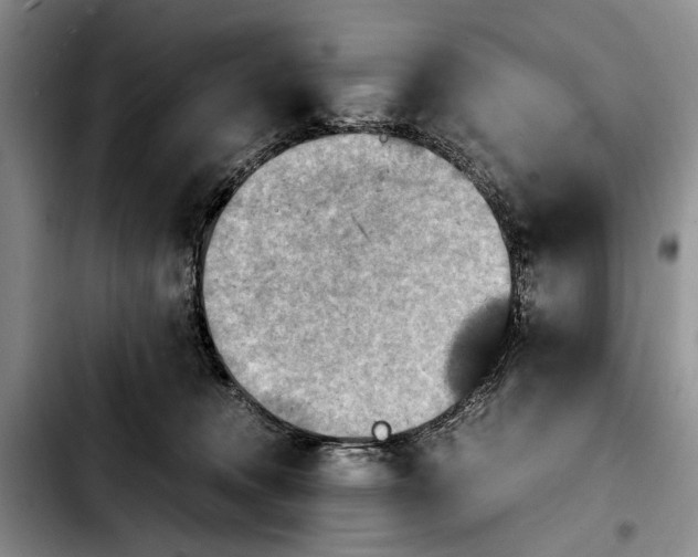 X0000103900372200810101250