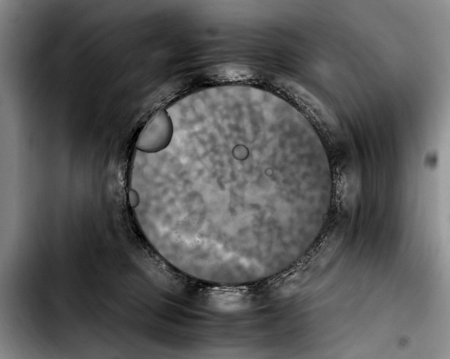 X0000103900373200810101250