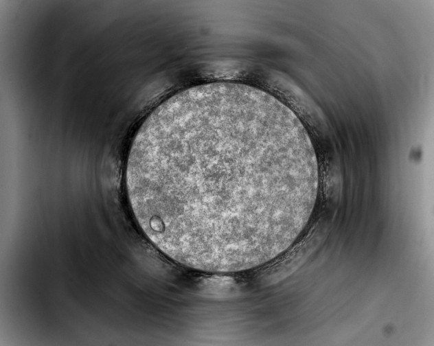 X0000103900374200810101250