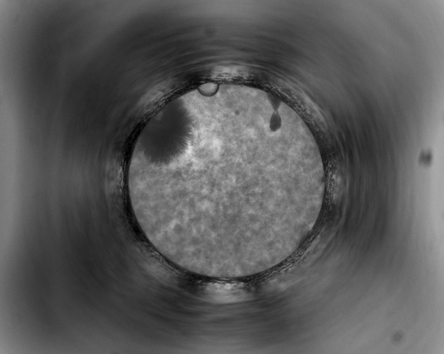 X0000103900375200810101250