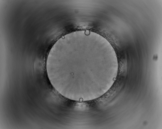 X0000103900376200810101250