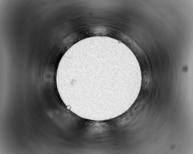 X0000103900379200810101251