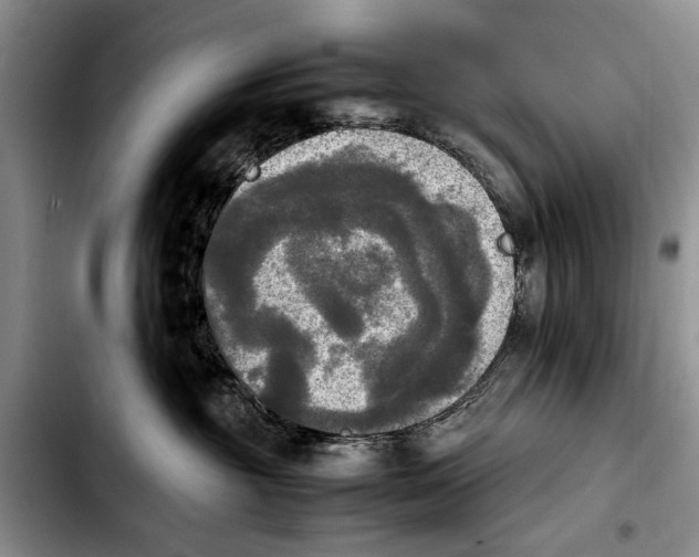 X0000103900381200810101251