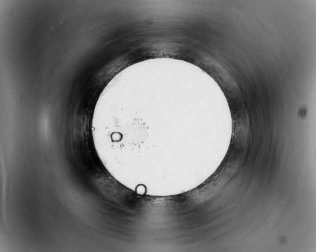 X0000103900382200810101251