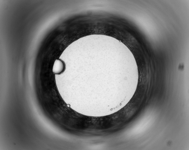 X0000103900383200810101251