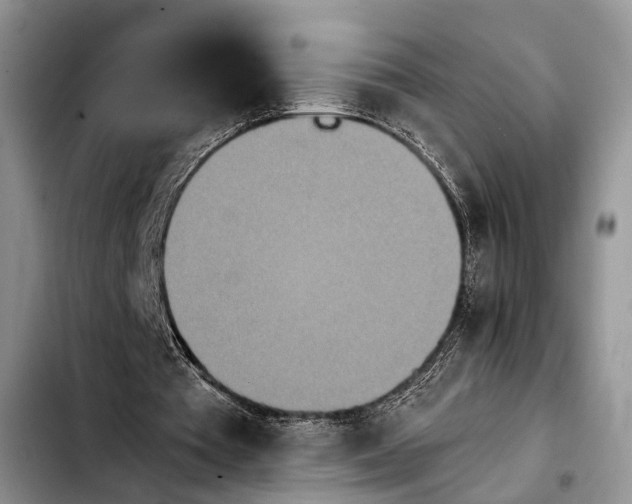 X0000103900385200810101250