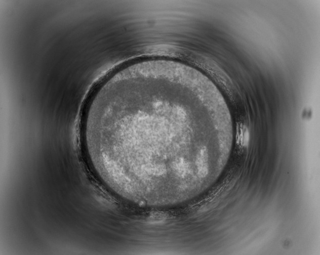 X0000103900388200810101250