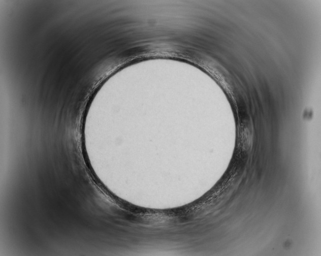 X0000103900389200810101250