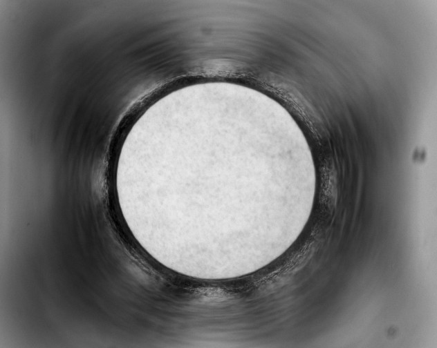 X0000103900392200810101250