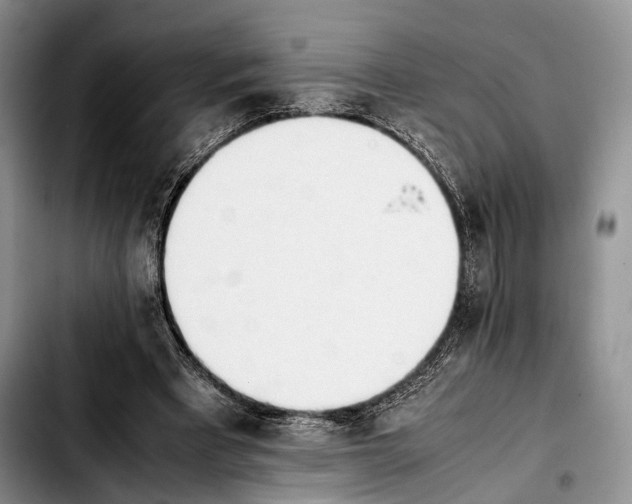 X0000103900393200810101250