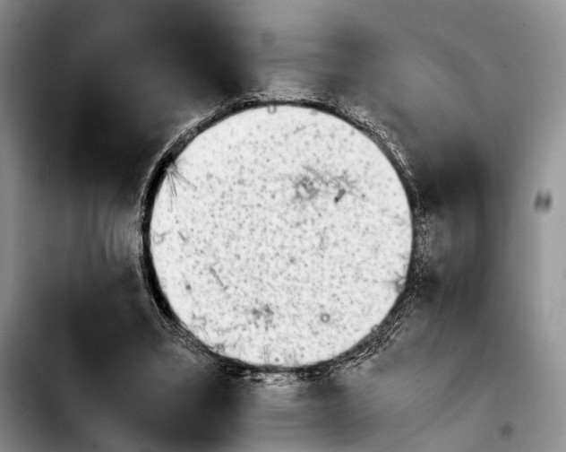 X0000103900395200810101250