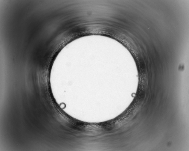 X0000103900397200810101250