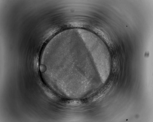 X0000103900398200810101250