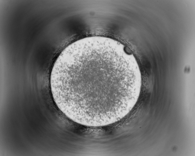 X0000103900401200810101250