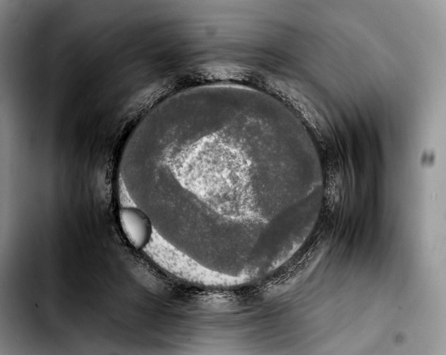 X0000103900402200810101250