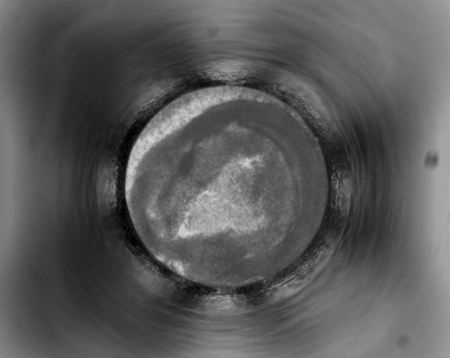 X0000103900404200810101250