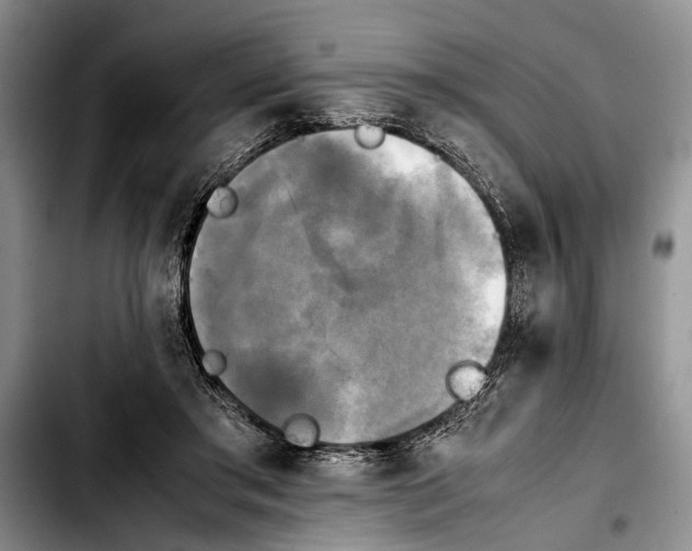 X0000103900405200810101250