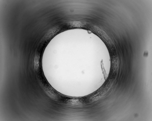 X0000103900406200810101250