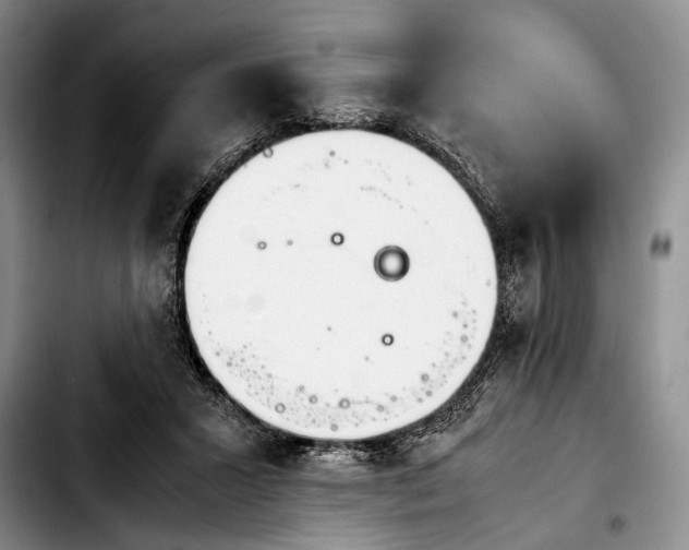 X0000103900407200810101250