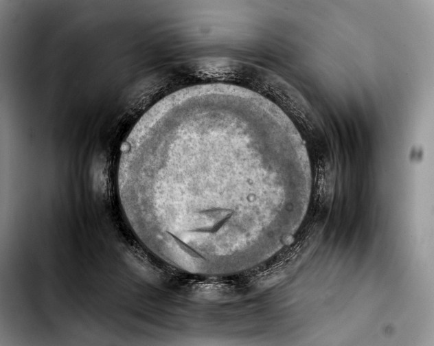 X0000103900408200810101250