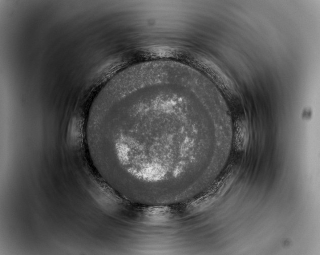 X0000103900410200810101250