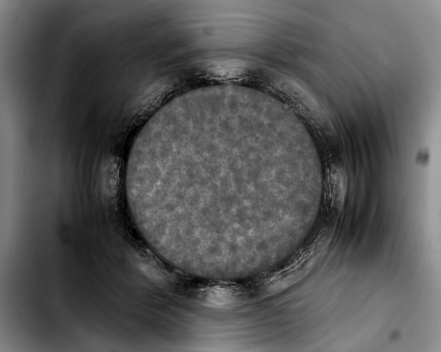 X0000103900412200810101250