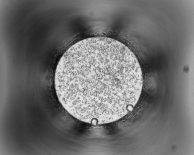 X0000103900413200810101250