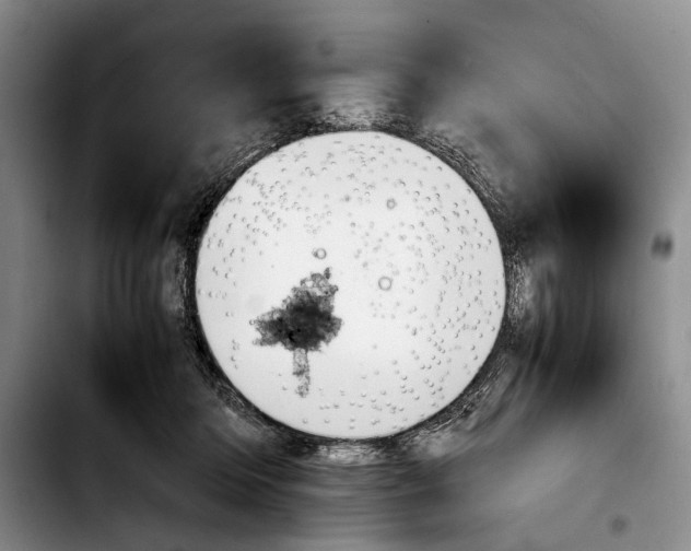 X0000103900414200810101249