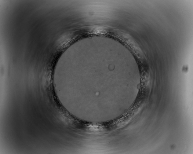 X0000103900415200810101249