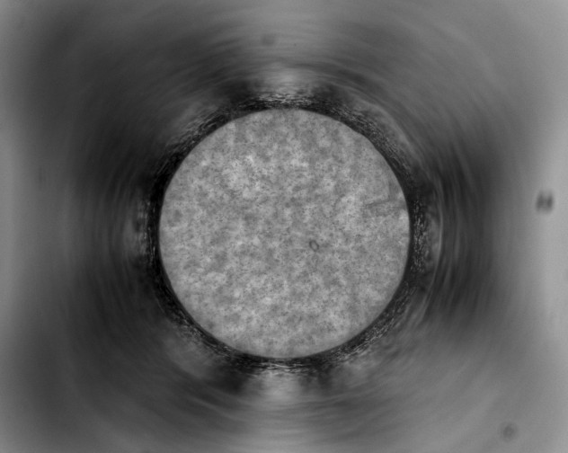 X0000103900416200810101249