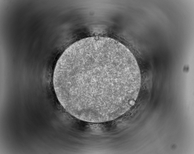 X0000103900417200810101249