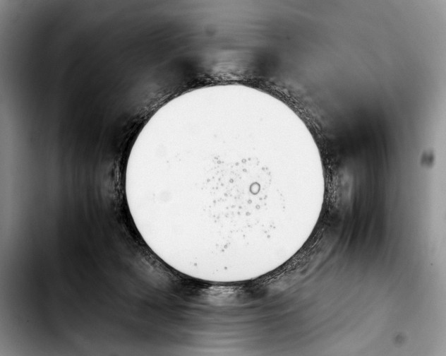 X0000103900418200810101249