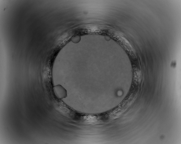 X0000103900419200810101249