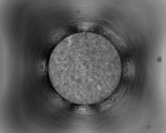 X0000103900420200810101249