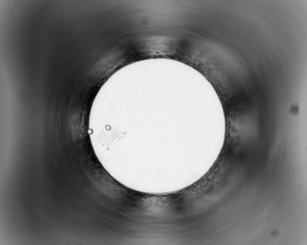 X0000103900422200810101249