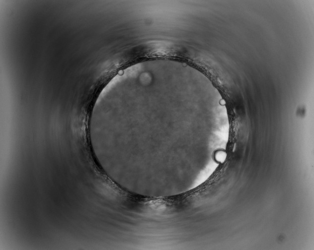 X0000103900423200810101249