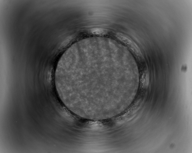 X0000103900424200810101249