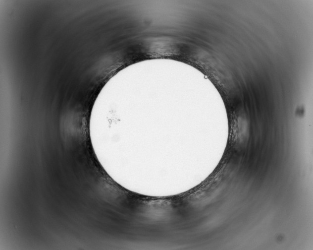 X0000103900426200810101249