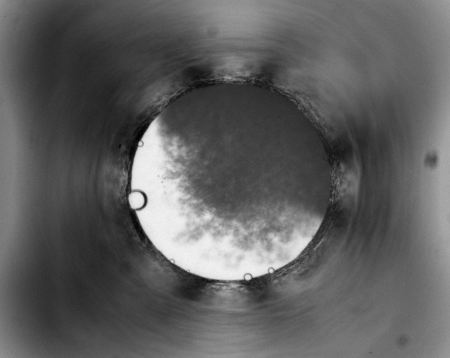 X0000103900427200810101249