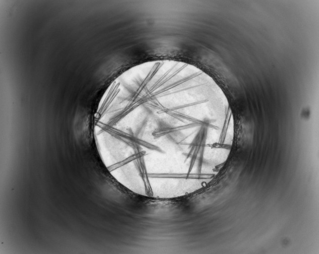 X0000103900428200810101249