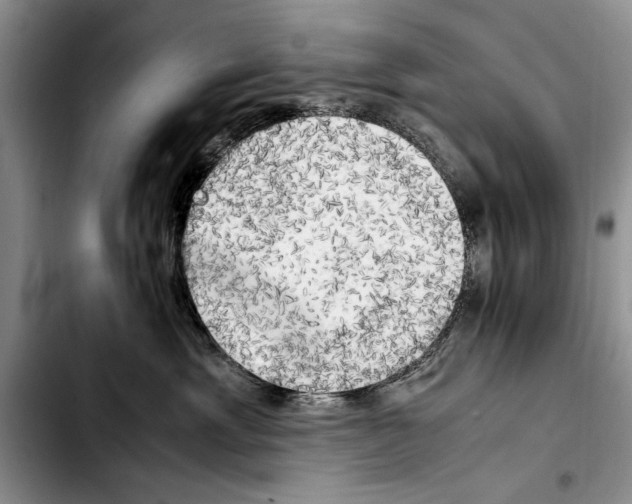 X0000103900429200810101249