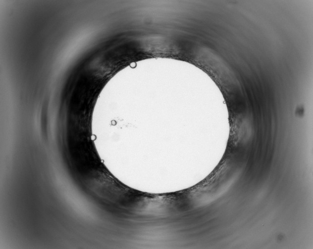 X0000103900430200810101249