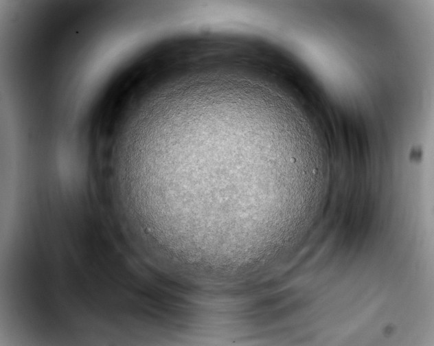 X0000103900431200810101249