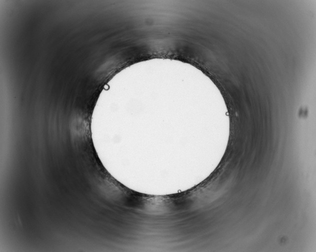 X0000103900432200810101249