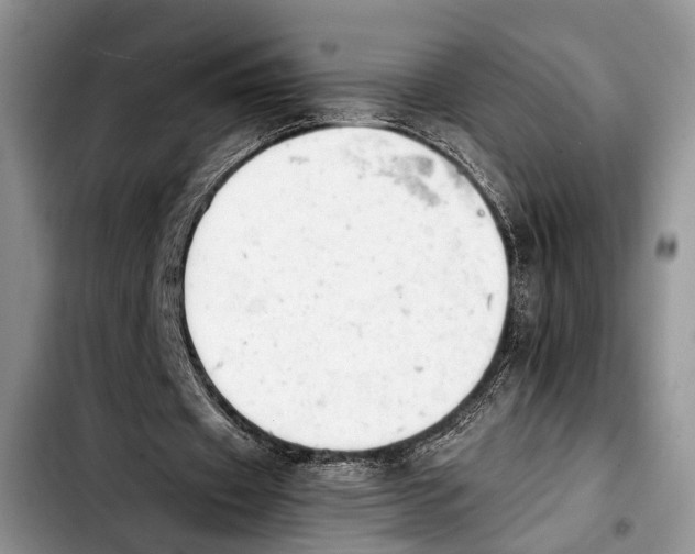 X0000103900433200810101249