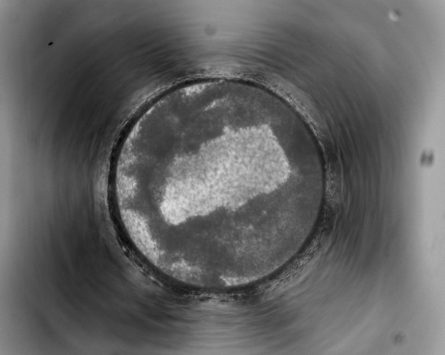 X0000103900434200810101249