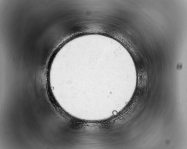 X0000103900436200810101249