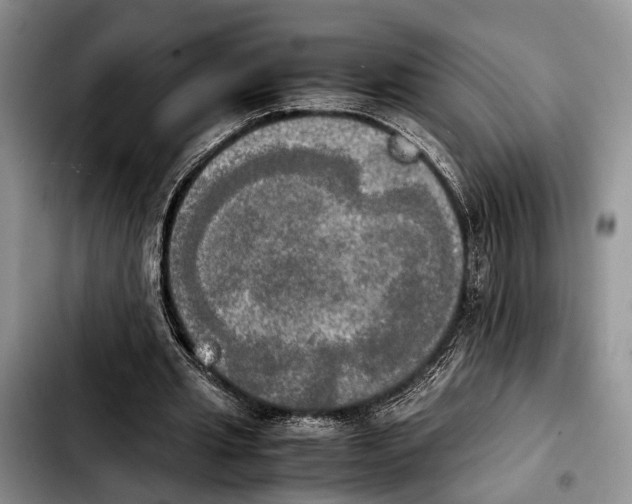 X0000103900437200810101249