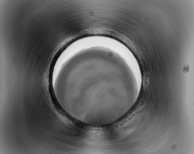 X0000103900438200810101249