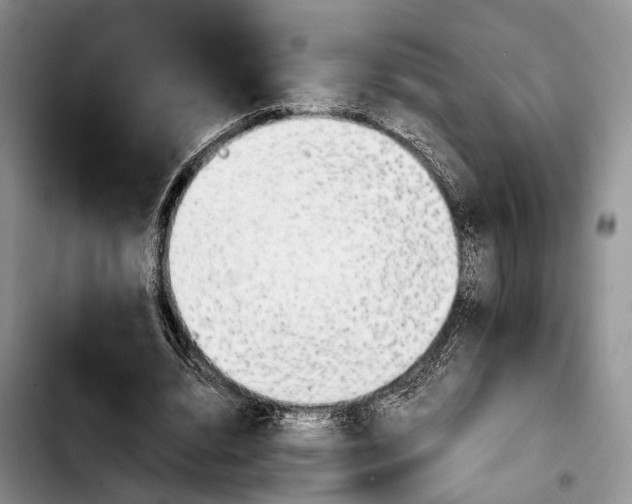 X0000103900440200810101249